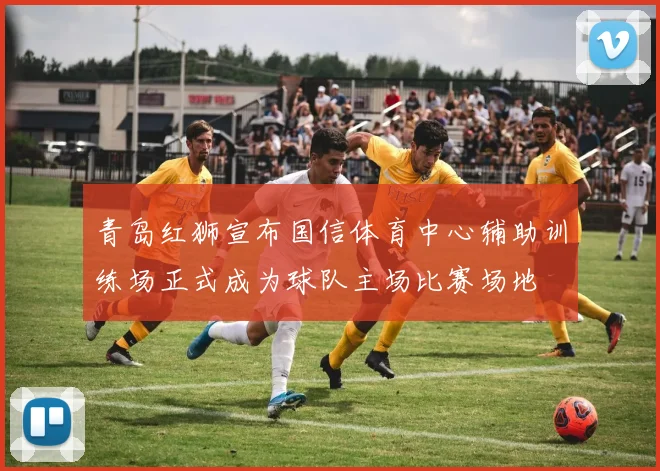 青岛红狮宣布国信体育中心辅助训练场正式成为球队主场比赛场地