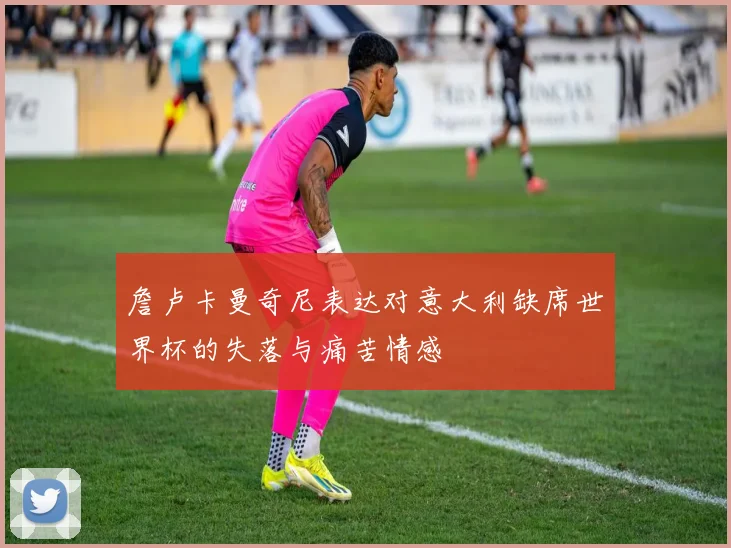 詹卢卡曼奇尼表达对意大利缺席世界杯的失落与痛苦情感