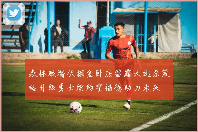 森林狼潜伏掘金卧底雷霆大逃杀策略升级勇士续约霍福德助力未来