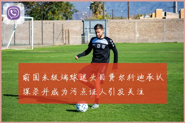 前国米极端球迷头目费尔科迪承认谋杀并成为污点证人引发关注