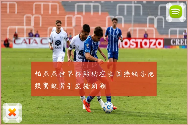 帕尼尼世界杯贴纸在法国热销各地频繁缺货引发抢购潮
